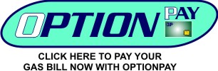 Option Pay Link