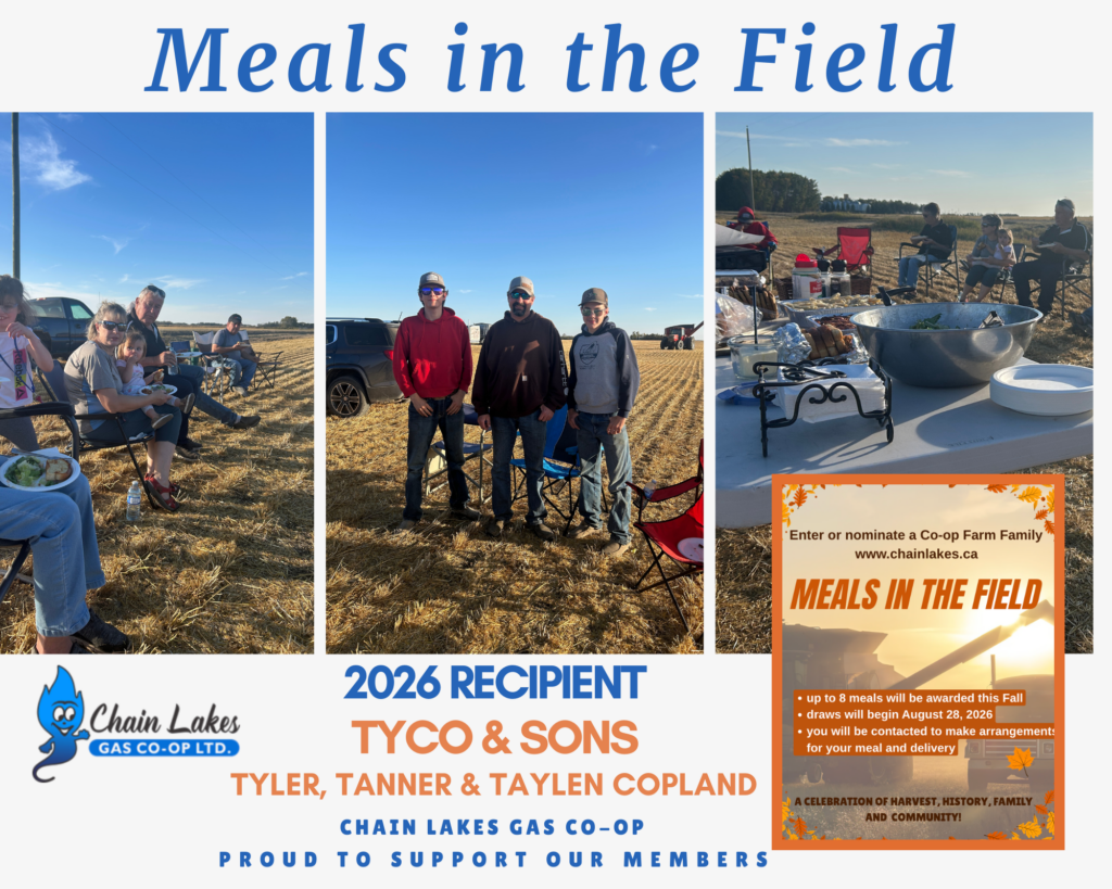 Meals in the field winners